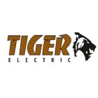 TIGER ELECTRIC LTD