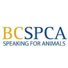 BC SPCA