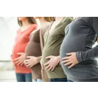 FERTILITY LAWYERS