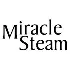 MIRACLE STEAM
