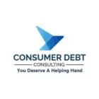 CONSUMER DEBT CONSULTING CORP