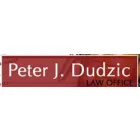 DUDZIC PETER J