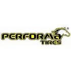 PERFORMA TIRES INC