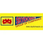 SKYDOME AUTO & BODY CENTER