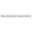 BLUE MOUNTAIN APARTMENT