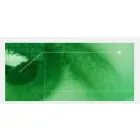 GOODWIN GRENVILLE L DR