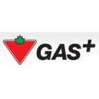 CANADIAN TIRE PETROLEUM INC